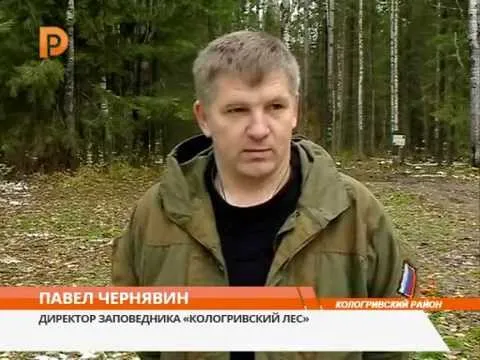 На Херсонщині незаконно очолили об’єднану дирекцію природних територій