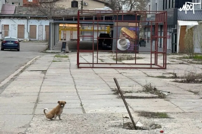 Менше херсонців планують повернення додому після вторгнення