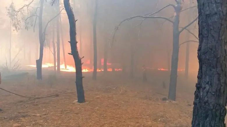У Олешківських пісках триває лісова пожежа на площі 42 гектари