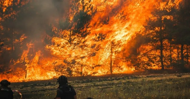 Ліквідація лісових пожеж на Донеччині триває через обстріли Росії