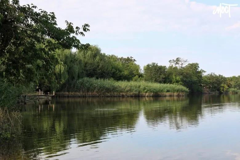 У Херсонській області заборонено вилов раків до кінця вересня