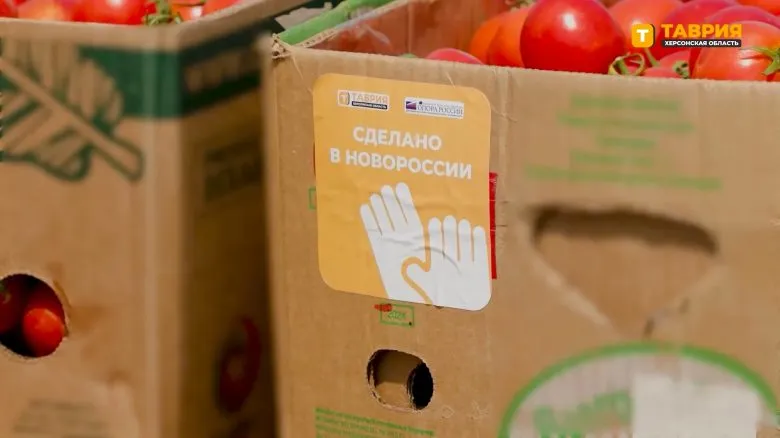 Оккупанты Херсонщины вывозят овощи и ягоды в Россию