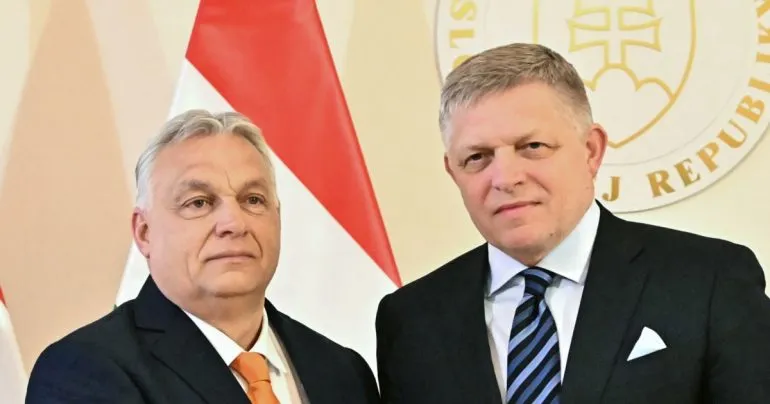 Венгрия и Словакия не будут участвовать в совещании по стене дронов