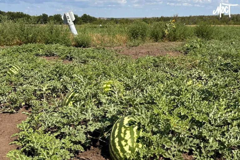 Перше Травня з Херсонщини отримало компенсацію за розмінування полів
