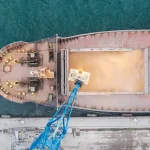 Израиль: рынок для украденного украинского зерна – расследование
